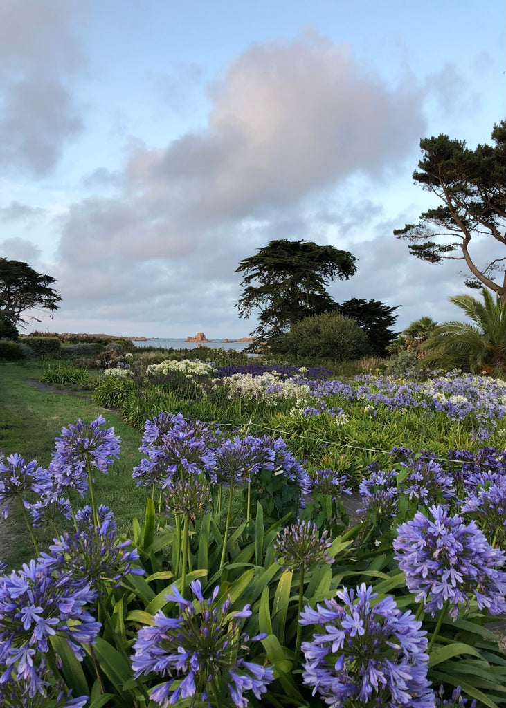 Bréhat, l'île aux artistes.