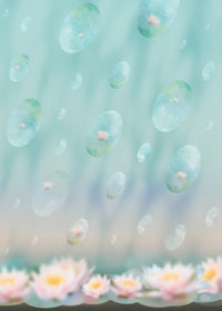 À l'aube des Nymphéas